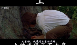 不老泉电影,探寻永恒生命的奇幻之旅