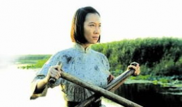 洪湖赤卫队电影,烽火岁月里的红色传奇