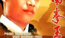 电影南拳王,热血拳坛，传承国术传奇