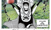 海贼王漫画全彩,波澜壮阔的冒险之旅，全彩绘卷再现传奇