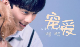 宠爱电影,温情治愈，宠物与主人间的感人故事