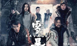 雪暴电影,冰封岁月的正义之战